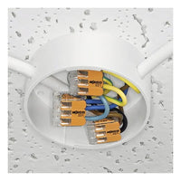 Conector Emenda Wago 2 Vias 4mm - Laranja-claro