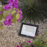 Refletor Led Slim 150w Branco Frio Ip65 Blumenau Preto 127/220v Preto Branco-frio